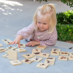 Hva h�rer sammen - Dyrefamilier