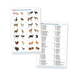Hva h�rer sammen - Dyrefamilier