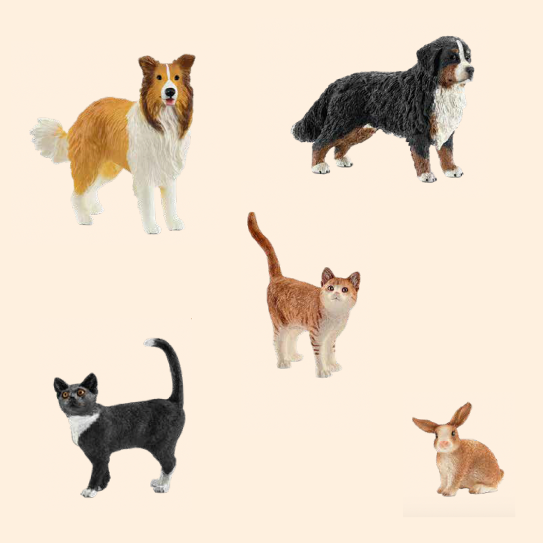 Dyrene vi har hjemme